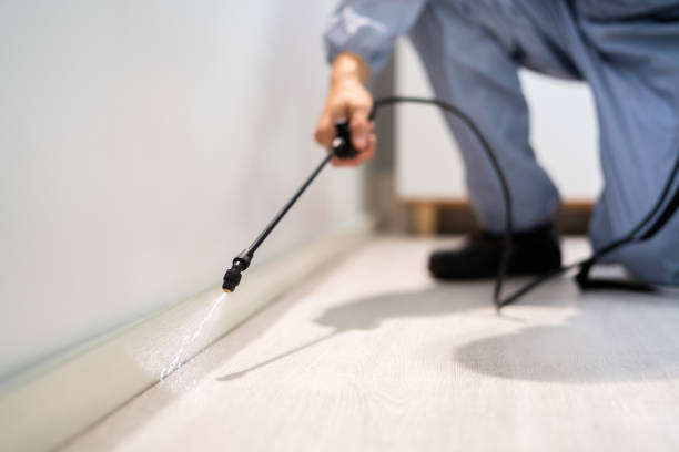 Licensed Mosquito Control service in Westland, MI - Show Me Pest Control