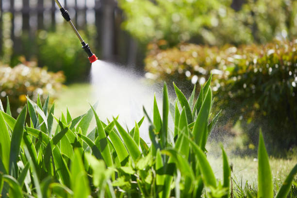 24/7 Emergency Mosquito Control experts in Westland, MI