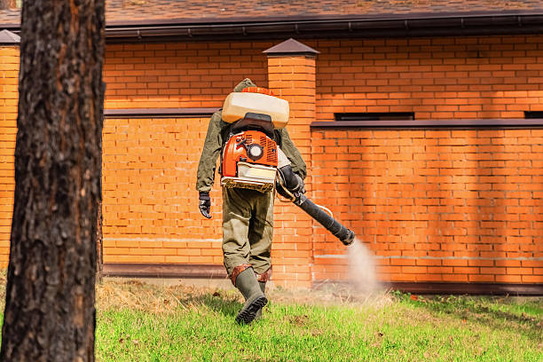 Top rated local Mosquito Control specialists in Westland, MI